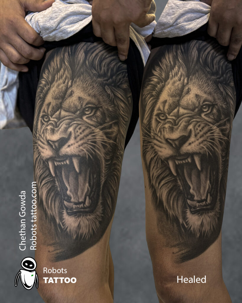 lion healed tattoo